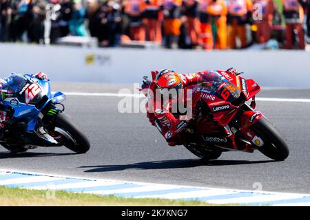 Phillip Island, Australie, 16 octobre 2022. Francesco Bagnaia d'Italie sur le Ducati Lenovo Team Ducati pendant la course MotoGP au MotoGP australien 2022 sur le circuit de Phillip Island sur 16 octobre 2022 à Phillip Island, en Australie. Crédit : Dave Helison/Speed Media/Alamy Live News Banque D'Images