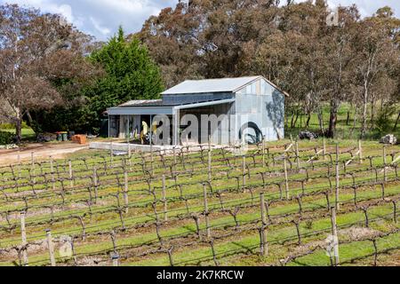 Mortimers vins vignoble dans le centre d'Orange tablelands région Nouvelle-Galles du Sud, Australie Banque D'Images