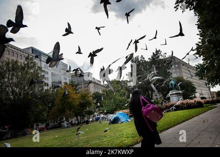 Un troupeau de pigeons surprend une femme alors qu'elle traverse un campement sans abri sur la place McPherson à Washington, DC, lundi, 17 octobre 2022. Il y a environ trois douzaines de tentes dans le parc, avec une buanderie accrochée sur des branches d'arbres, des chaises, des tables et même deux salles de bains portatives. Il s'agit de l'une des nombreuses communautés sans abri, y compris les vétérans américains, dans la capitale de nations, dans des lieux de haute visibilité publique, coexistant avec les résidents locaux. Crédit: Rod Lamkey / CNP Banque D'Images