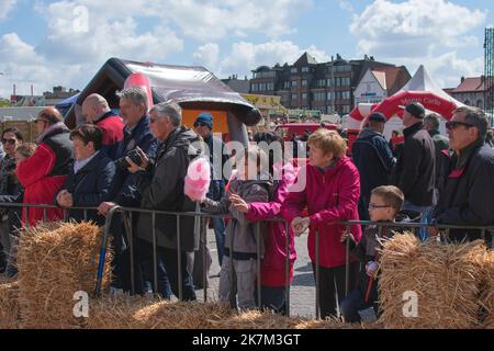 Sint Niklaas, Belgique, 05 mai 2019, un petit garçon aime un bonbon de coton rose pendant les festivités Banque D'Images