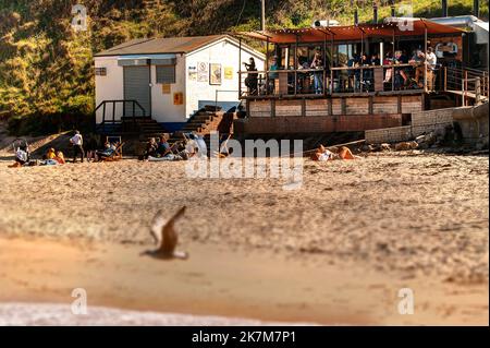 Riley's Fish Shack, baie King Edwards, Tynemouth, nord-est de l'Angleterre Banque D'Images