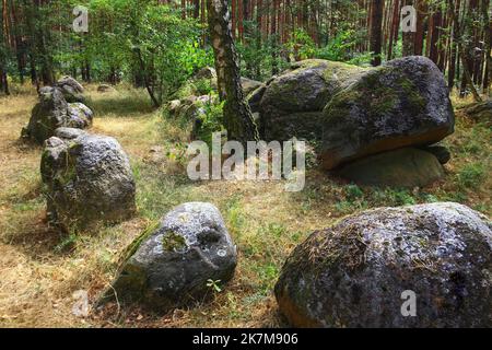 Tombe mégalithique Kaisergrab dans la forêt allemande près de Magdeburg. Banque D'Images