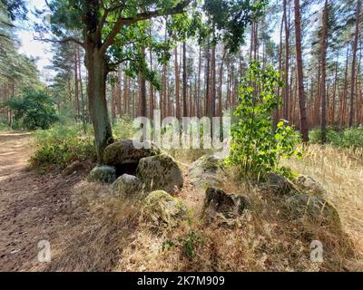 Tombe mégalithique Haldensleben 40 dans la forêt allemande. Banque D'Images