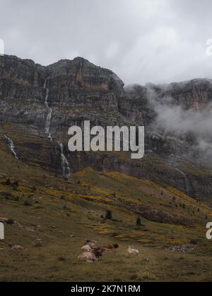 Un cliché vertical du brouillard qui roule sur des montagnes rocheuses avec des animaux qui broutage sur le terrain Banque D'Images