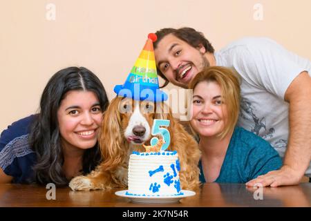 Famille latino-américaine célébrant le cinquième anniversaire de leur animal de compagnie de caniel Cocker Banque D'Images