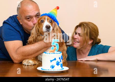 Famille latino-américaine célébrant le cinquième anniversaire de leur animal de compagnie de caniel Cocker Banque D'Images