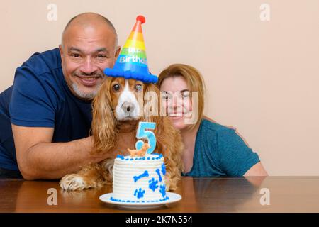 Famille latino-américaine célébrant le cinquième anniversaire de leur animal de compagnie de caniel Cocker Banque D'Images