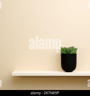 Un 3D rendu d'un succulent dans un pot noir sur une étagère blanche dans un fond pêche clair, parfait pour le design intérieur et le papier peint Banque D'Images