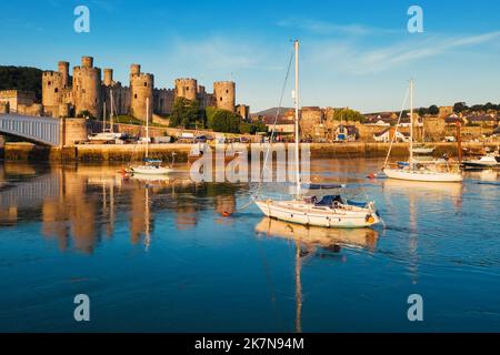 Yachts dans le port de Conwy, en face du château de Conwy, au nord du pays de Galles, au Royaume-Uni Banque D'Images