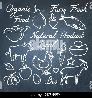 Ensemble de croquis de produits écologiques dessinés à la main et de lettres sur le tableau noir Illustration de Vecteur