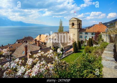 Pittoresque village de Saint-Saphorin sur les rives du lac Léman dans la région viticole de Lavaux, en Suisse Banque D'Images