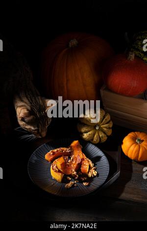 Chat dans un sombre moody pictural encore-vie de courge butternut rôtie à l'automne saupoudrés de cannelle, de noix et de miel Banque D'Images