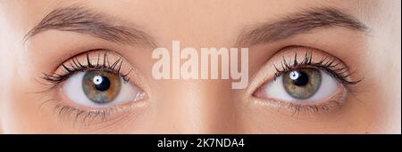 Les yeux sont les fenêtres de l'âme. Gros plan des yeux d'une jeune femme sur fond gris. Banque D'Images
