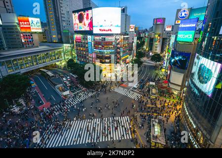 12 juin 2019 : Shibuya Crossing, une intersection célèbre et emblématique, également l'intersection la plus animée en face de la gare de Shibuya, Tokyo, japon. Des centaines de p Banque D'Images