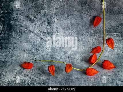 Branche de Fesalis aux fruits orange sur fond abstrait foncé. Cadre et fruits de fésalis en forme de coeur. Carte de Saint-Valentin. Saint-Valentin Banque D'Images