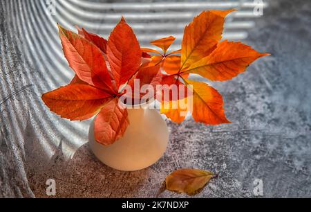 Bouquet de feuilles d'automne rouges de raisins sauvages dans un vase en argile sur fond texturé foncé. L'automne encore la vie. Banque D'Images