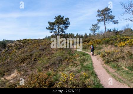 Lassy (Bretagne, nord-ouest de la France) : la vallée de Canut, zone naturelle départementale et site préservé, paysage avec la vallée escarpée, la lande et une h Banque D'Images