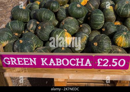 Potiron Time à Sunnyfields Farm à Totton, Hampshire UK en octobre à l'approche de Halloween - Green Kabocha squash à vendre Banque D'Images