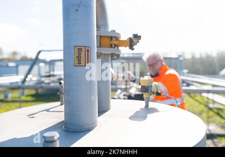 Coesfeld, Allemagne. 18th octobre 2022. Chez reTerra West GmbH, un employé se trouve sur le toit d'une usine de biogaz qui produit du biogaz à partir de déchets organiques. Wirtschaftsbetriebe des Kreises Coesfeld et reTerra West GmbH montrent comment le biogaz est traité à partir des matières premières et alimenté dans le réseau de gaz. 350 mètres cubes peuvent être produits ici par heure, ou 1500-2000 ménages peuvent être fournis avec du gaz naturel bio. Credit: Guido Kirchner/dpa/Alay Live News Banque D'Images