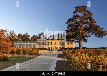 Saint Emilion (sud-ouest de la France) : le château de Fonplegade, le château de Fonplegade et ses vignobles au coucher du soleil Banque D'Images