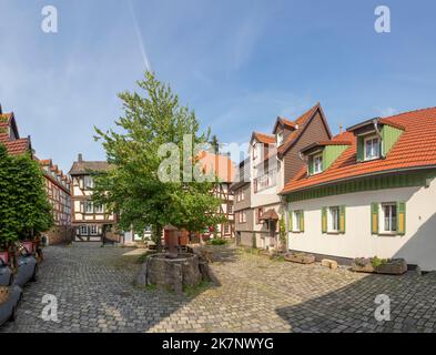 Alsfeld, Allemagne - 25 juin 2021 : maisons historiques à colombages sur la place centrale avec arbre à Alsfeld, allemagne. Banque D'Images