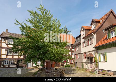 Alsfeld, Allemagne - 25 juin 2021 : maisons historiques à colombages sur la place centrale avec arbre à Alsfeld, allemagne. Banque D'Images