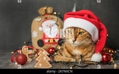 Un chat national au gingembre est assis dans un chapeau du nouvel an sur un fond sombre avec des lumières et des décorations d'arbre de Noël. Carte de Noël. Banque D'Images