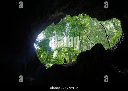 grotte pittoresque de linea dans le parc national de los haïtiens en république dominicaine Banque D'Images