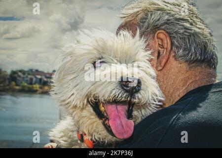 Gros plan d'un vieil homme qui embrasse un vieux chien avec une rivière floue en arrière-plan-West Highland White Terrier Banque D'Images