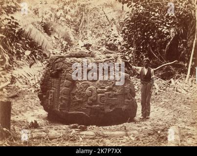 Photographie en noir et blanc (vers 1880-1899) de la sculpture en pierre de la Grande Tortue sur les ruines mayas de Quirigua, au Guatemala, par Alfred Percival Maudslay Banque D'Images