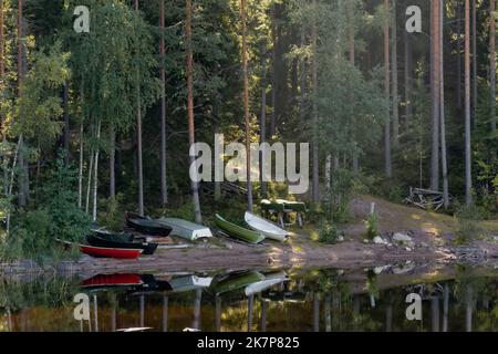 Un groupe de petits bateaux sur une plage en Finlande avec des troncs de pins reflétant du lac. Parc national de Repovesi, Kouvola. Banque D'Images