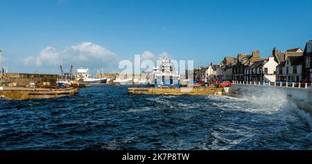 Macduff Harbour lors d'une journée venteuse à MacDuff, Aberdeenshire, Écosse, Royaume-Uni Banque D'Images