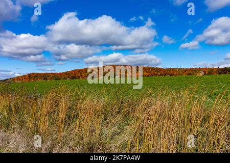 Un champ d'herbe avec des balles de foin se trouve devant les collines d'automne vallonnées remplies de couleurs éblouissantes : couches d'herbe, de champ, de collines et de nuages. Banque D'Images