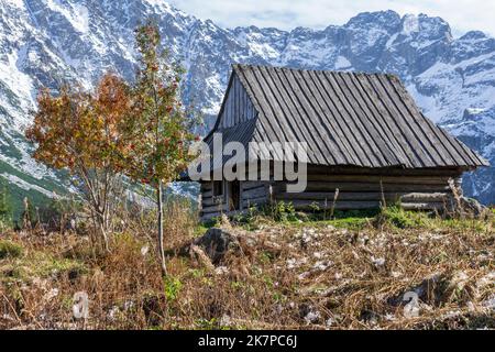 Ancienne cabane de montagne dans la vallée de Gasienicowa en automne. Banque D'Images