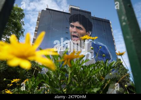Buenos Aires, Argentine. 18th octobre 2022. Réalisation de la plus grande fresque du monde, en hommage au plus grand joueur du monde. La fresque fait partie d'un hommage à la star du football Diego Maradona, est faite par le muraliste Martin Ron, à Ciudad de Buenos Aires. Crédit : SOPA Images Limited/Alamy Live News Banque D'Images