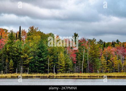 Le rivage du lac Council dans la forêt nationale de Hiawatha montre le début de la couleur d'automne, comté d'Alger, Michigan Banque D'Images