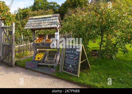 Support rustique avec pommes en démonstration et vente en utilisant une boîte d'honnêteté pour le paiement Banque D'Images
