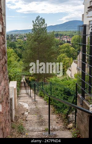 Vue sur une rue en montée avec des marches pour rejoindre les vignes en terrasse et le Mémorial national de Forced Incorporated Banque D'Images