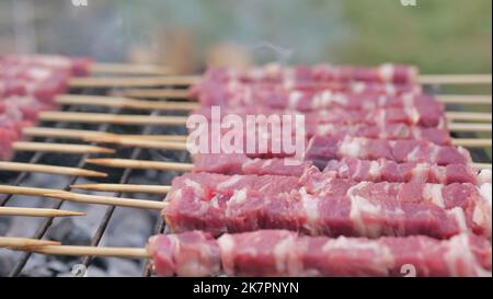 Brochettes grillées , viande d'agneau rôtie traditionnelle italienne Arrosticini . viande d'agneau rôtie Banque D'Images