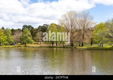 Lac Canobolas réserve et réservoir zone de loisirs, Orange NSW, Australie au printemps 2022 Banque D'Images