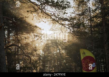 paysage magnifique, rayons du soleil brillent à travers les arbres Banque D'Images