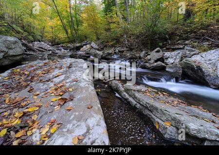 Les eaux qui se précipitent de Big Hunting Creek dans le parc de montagne Catoctins avec les couleurs d'automne dans les arbres derrière Banque D'Images