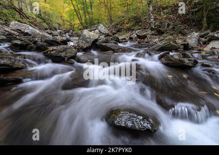 Les eaux qui se précipitent de Big Hunting Creek dans le parc de montagne Catoctins avec les couleurs d'automne dans les arbres derrière Banque D'Images