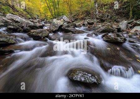 Les eaux qui se précipitent de Big Hunting Creek dans le parc de montagne Catoctins avec les couleurs d'automne dans les arbres derrière Banque D'Images