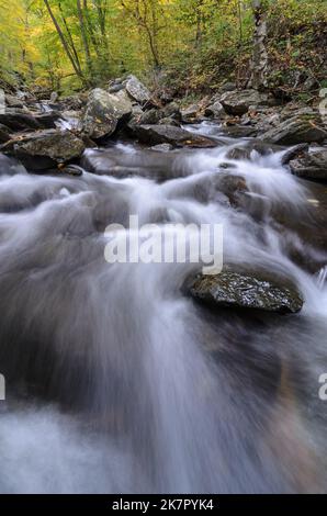 Les eaux qui se précipitent de Big Hunting Creek dans le parc de montagne Catoctins avec les couleurs d'automne dans les arbres derrière Banque D'Images