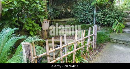 Partie étonnante du jardin japonais avec une clôture en bambou basse dans le parc de la Villa Ephrussi de Rothschild au Cap Saint Martin Banque D'Images