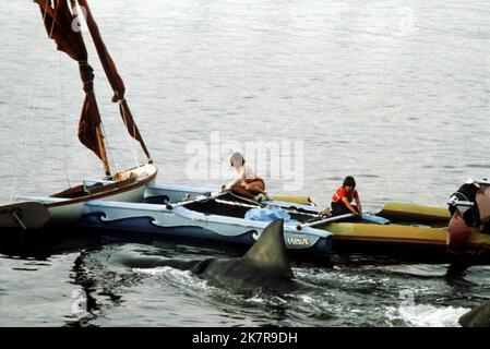 Shark, Mark Gilpin & Cindy Grover film: JAWS 2 (USA 1978) personnages: , Et Lucy (comme Cynthia Grover) Directeur: Jeannot Szwarc 16 juin 1978 **AVERTISSEMENT** cette photographie est destinée à un usage éditorial exclusif et est protégée par les droits d'auteur des IMAGES UNIVERSELLES et/ou du photographe attribué par la Société de film ou de production et ne peut être reproduite que par des publications dans le cadre de la promotion du film ci-dessus. Un crédit obligatoire pour LES PHOTOS UNIVERSELLES est requis. Le photographe doit également être crédité lorsqu'il est connu. Aucune utilisation commerciale ne peut être accordée sans l'autorisation écrite de la Société du film. Banque D'Images