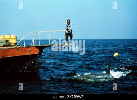 Robert Shaw film: JAWS (USA 1975) personnages: Quin / Mécanique Shark 'Bruce' Directeur: Steven Spielberg 20 juin 1975 **AVERTISSEMENT** cette photographie est à usage éditorial exclusif et est le droit d'auteur d'UNIVERSAL et/ou du photographe assigné par la Société de film ou de production et ne peut être reproduite que par des publications en conjonction avec la promotion du film ci-dessus. Un crédit obligatoire pour UNIVERSEL est requis. Le photographe doit également être crédité lorsqu'il est connu. Aucune utilisation commerciale ne peut être accordée sans l'autorisation écrite de la Société du film. Banque D'Images