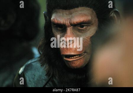 APE Scene film: Escape from the Planet of the Apes (1972) Directeur: Don Taylor 21 mai 1971 **AVERTISSEMENT** cette photographie est destinée à un usage éditorial seulement et est le droit d'auteur de 20th CENTURY FOX et/ou le photographe assigné par la Société de film ou de production et ne peut être reproduite que par des publications dans le cadre de la promotion du film ci-dessus. Un crédit obligatoire à 20th CENTURY FOX est requis. Le photographe doit également être crédité lorsqu'il est connu. Aucune utilisation commerciale ne peut être accordée sans l'autorisation écrite de la Société du film. Banque D'Images