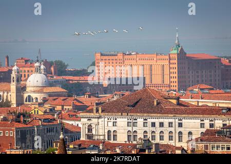 Floqué d'oiseaux survolant la vieille ville de Venise toits de la ville, Italie Banque D'Images